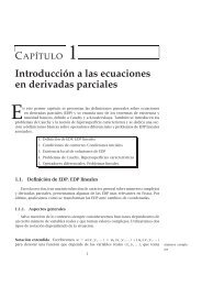 Introducción a las ecuaciones en derivadas parciales