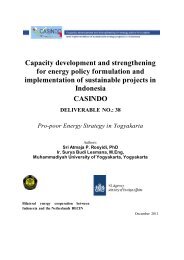 Capacity development and strengthening for energy ... - Casindo