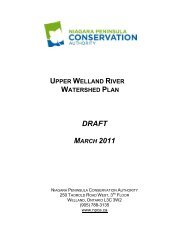 Upper Welland River Watershed Plan - Niagara Peninsula ...