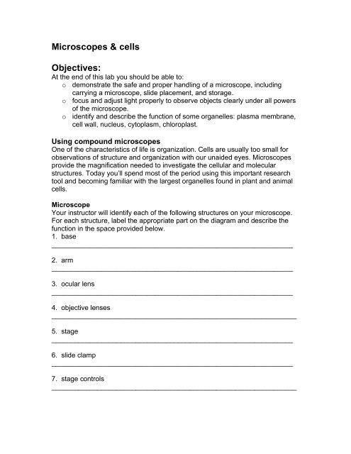 Microscopes & cells Objectives: