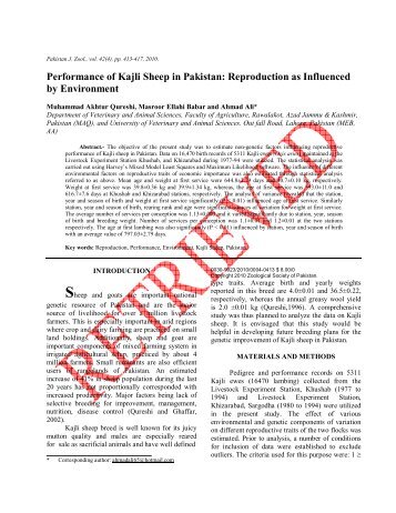 Title: Performance of Kajli Sheep in Pakistan - Zsp.com.pk