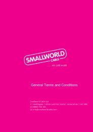 General Terms & Conditions - Smallworld