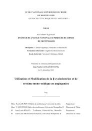 Utilisation et Modification de la Î²-cyclodextrine et de systÃ¨me mono ...