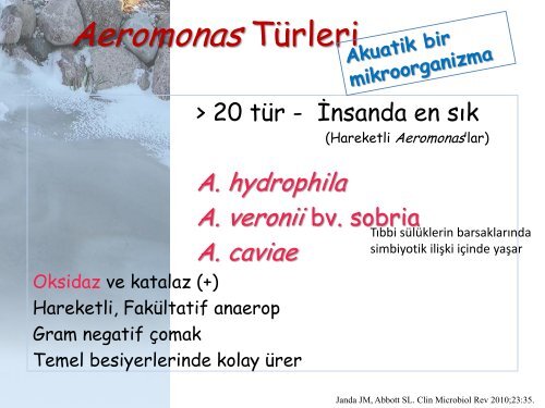 Campylobacter ve Aeromonas Türleri, Prof. Dr. Betigül Öngen - Türk ...