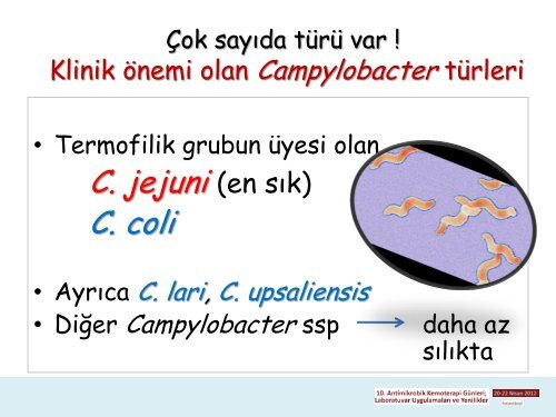 Campylobacter ve Aeromonas Türleri, Prof. Dr. Betigül Öngen - Türk ...