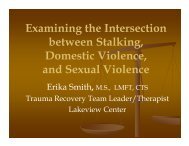 Examining the Intersection between Stalking, Domestic Violence, and