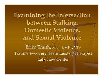 Examining the Intersection between Stalking, Domestic Violence, and