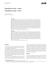 Aspergilose em cÃ£es â revisÃ£o Aspergillosis in dogs â review - Unip