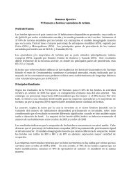 Resumen Ejecutivo Turismo VI final