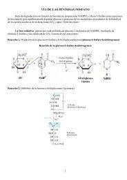 VÍA DE LAS PENTOSAS FOSFATO