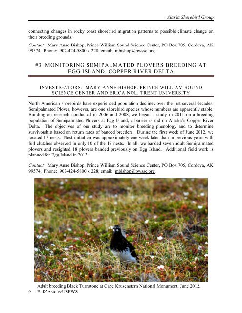 Alaska Shorebird Group Annual Summary Compilation