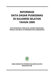 informasi data dasar puskesmas di sulawesi selatan tahun 2009
