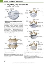 Discus intervertebralis - Verlagsgruppe Georg von Holtzbrinck