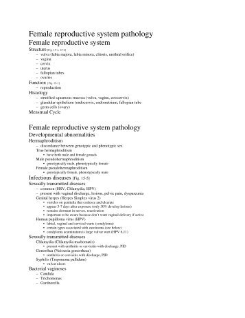 Female reproductive system pathology