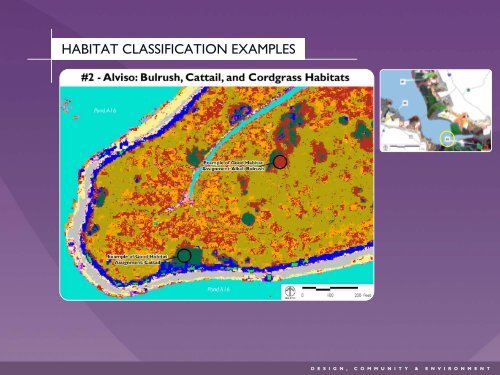 Using Remote Sensing to Map the Evolution of Marsh Vegetation in ...