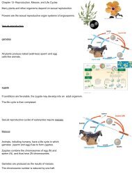 Chapter 13- Reproduction, Meiosis, and Life Cycles Many plants ...