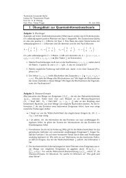 Download Übungsblatt 1 (.pdf) - Institut für Theoretische Physik