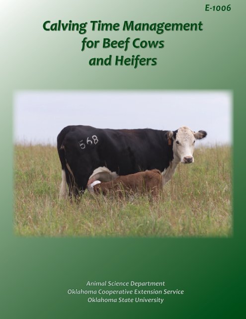 Calving Time Management for Beef Cows and ... - OSU Fact Sheets