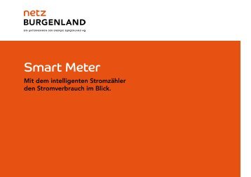 Smart Meter - mit intelligentem StromzÃ¤hler den ... - Netz Burgenland