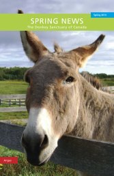 SPRING NEWS - Donkey Sanctuary of Canada