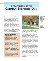 characteristics of the german shepherd dog - Dog Channel