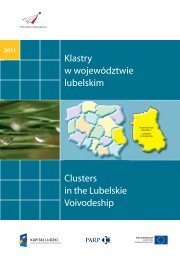 Klastry w wojewÃ³dztwie lubelskim Clusters in the ... - Portal Innowacji
