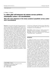 Le cellule gliali nell'ontogenesi del sistema nervoso periferico - Siapec