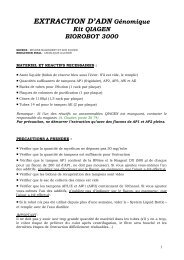 Extraction d'ADN gÃ©nomique - Inra