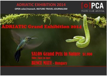 ADRIATIC_Grand_Exhibition_2014