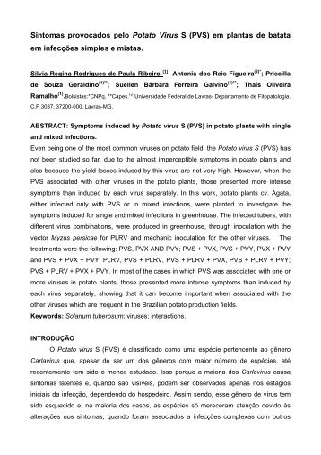 Sintomas provocados pelo Potato Virus S (PVS) em plantas de ...