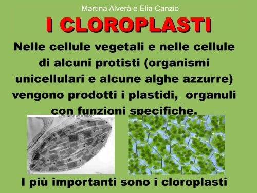 I CLOROPLASTI - Polo Valboite