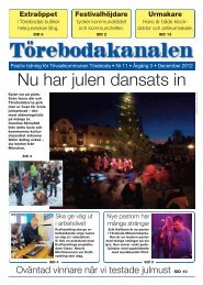 TÃ¶rebodakanalen dec-12