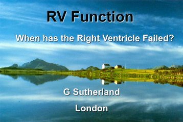 RV Systolic Function - RM Solutions