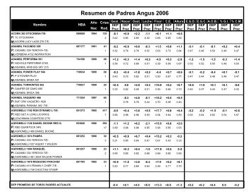 Resumen de Padres Angus 2006