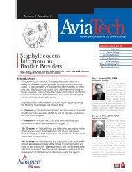 Staphylococcus Infections in Broiler Breeders - Canadian Poultry ...