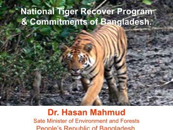 National Tiger Recover Program & Commitments of Bangladesh. Dr ...