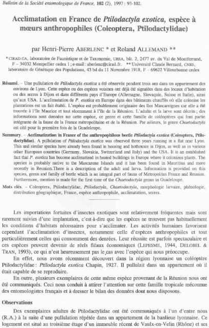 Acclimatation en France de Ptilodactyla exotica, espÃ¨ce Ã  moeurs ...