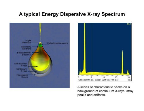 Energy/Wavelength Dispersive X-ray Analysis