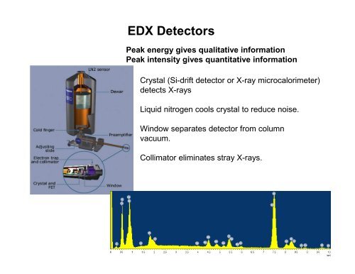 Energy/Wavelength Dispersive X-ray Analysis