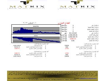 new report - T-matrix