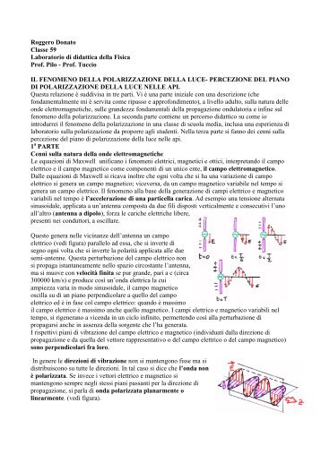 Il fenomeno della polarizzazione della luce e l'orientamento delle api