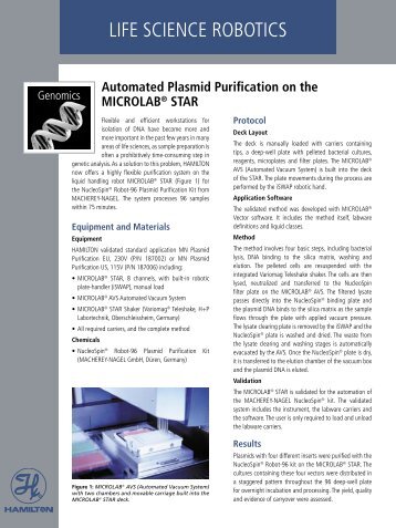 Automated Plasmid Purification - Hamilton Robotics
