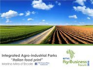 Integrated Agro-industrial Parks âItalian food printâ - EMRC