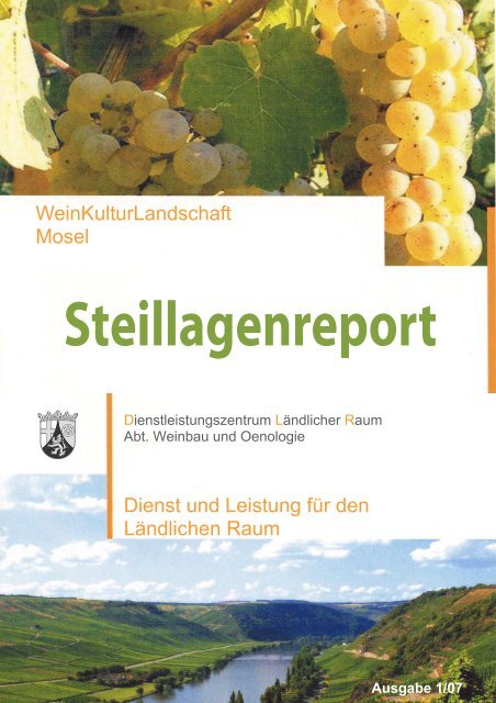 steillagenreport_www.pdf (2.52 MB) - Dienstleistungszentren ...