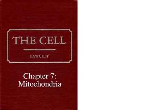 Chapter 7: Mitochondria