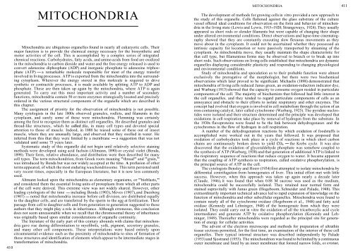 Chapter 7: Mitochondria