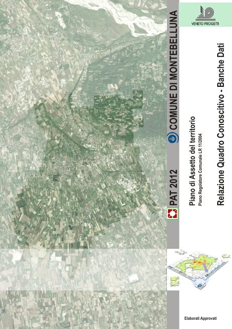 Relazione Quadro Conoscitivo - Comune di Montebelluna