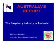 The Raspberry Industry in Australia