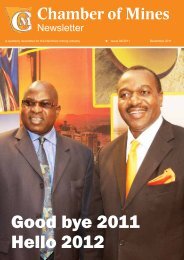 Good bye 2011 Hello 2012 - Chamber of Mines of Namibia