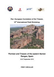 Permian and Triassic of the eastern Iberian Ranges, Spain